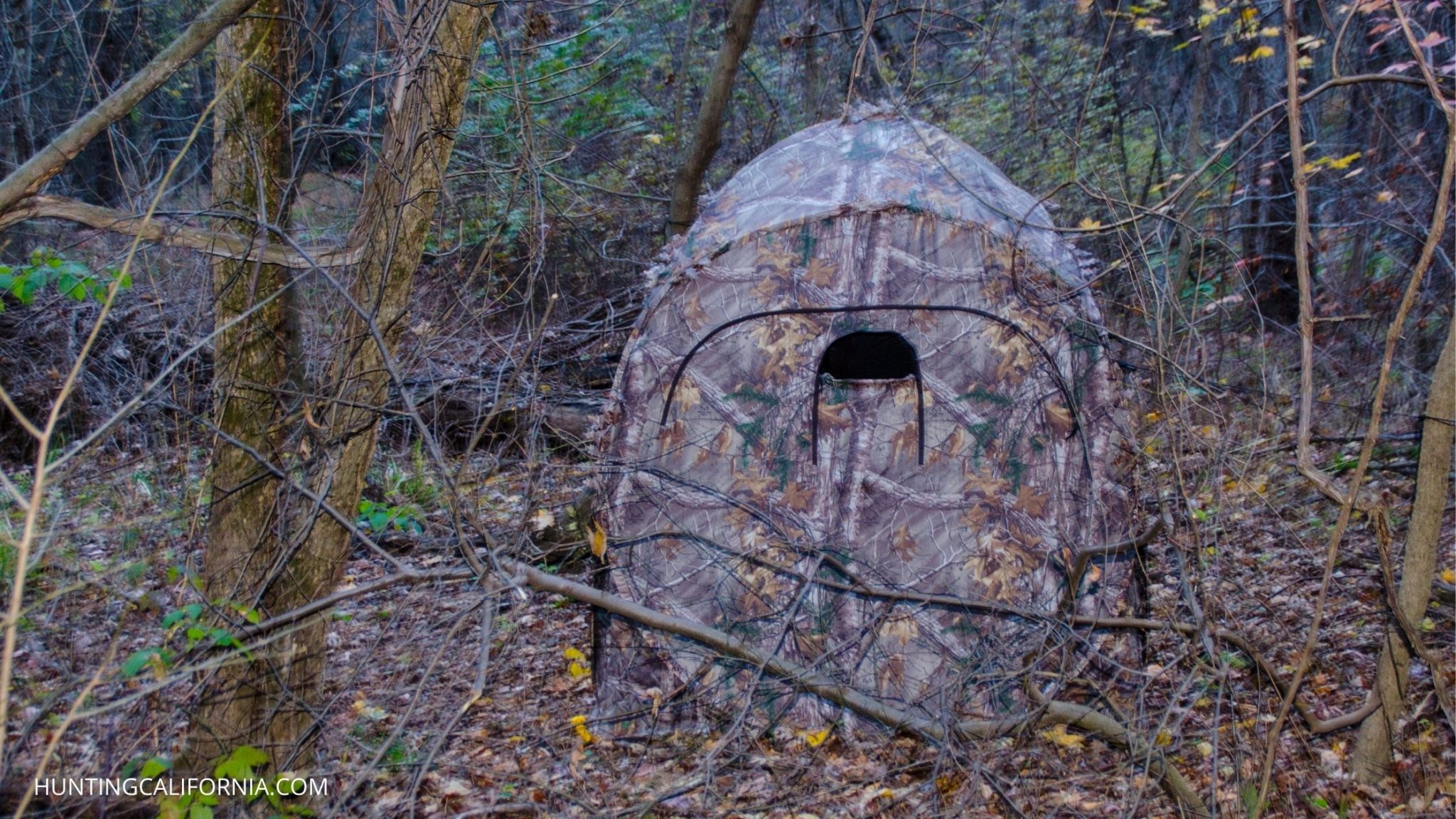 AYIN 3D Camo Hunting Blind – Pop-Up Shelter For Deer, Turkey, Waterfowl (Small Or Large Size)