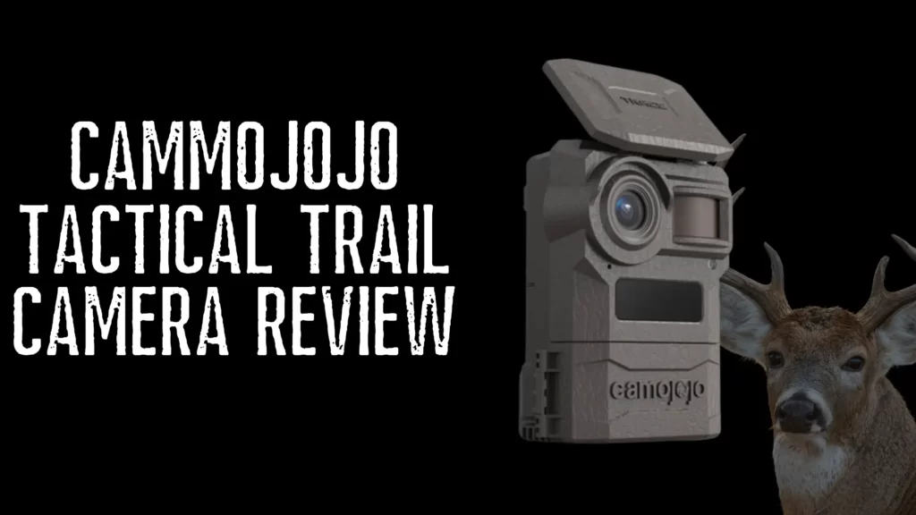 camojojo article review feature image